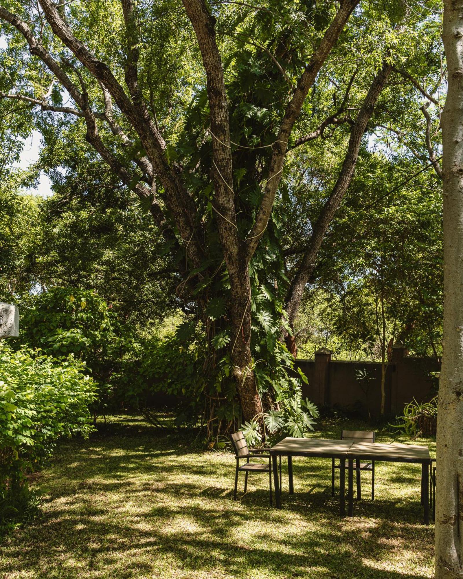 Jacaranda Lodge Victoria Falls Kültér fotó